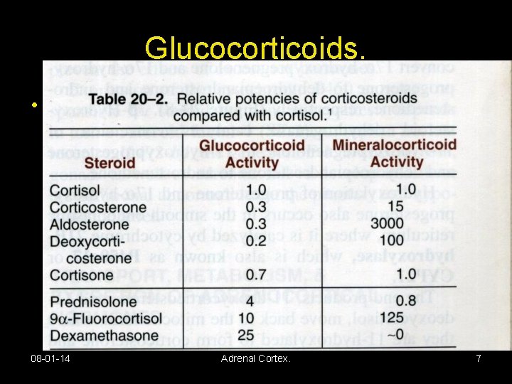 Glucocorticoids. • Half-life- 60 -90 minutes 08 -01 -14 Adrenal Cortex. 7 