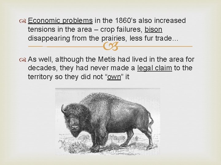  Economic problems in the 1860’s also increased tensions in the area – crop