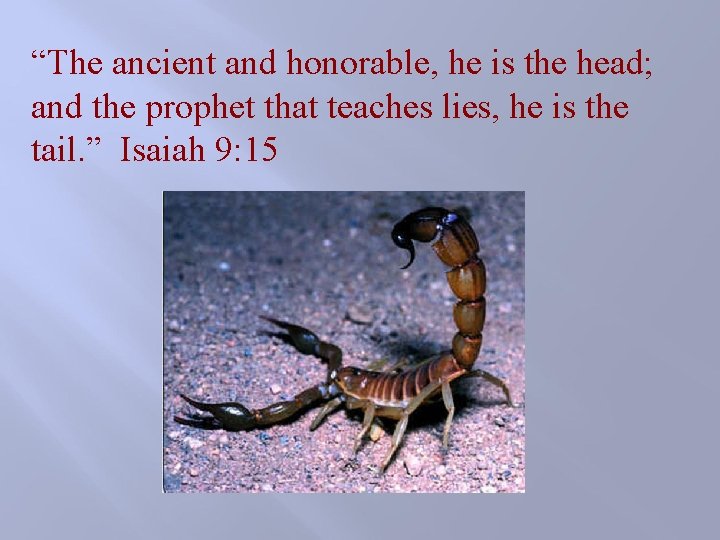 “The ancient and honorable, he is the head; and the prophet that teaches lies, “The ancient and honorable, he is the head; and the prophet that teaches lies,