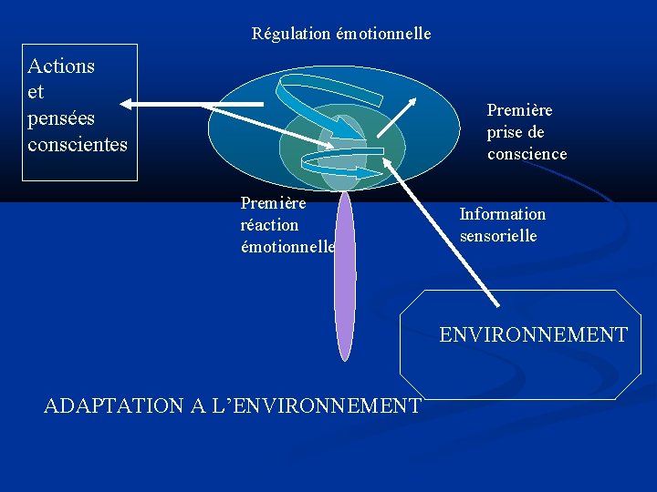 Régulation émotionnelle Actions et pensées conscientes Première prise de conscience Première réaction émotionnelle Information