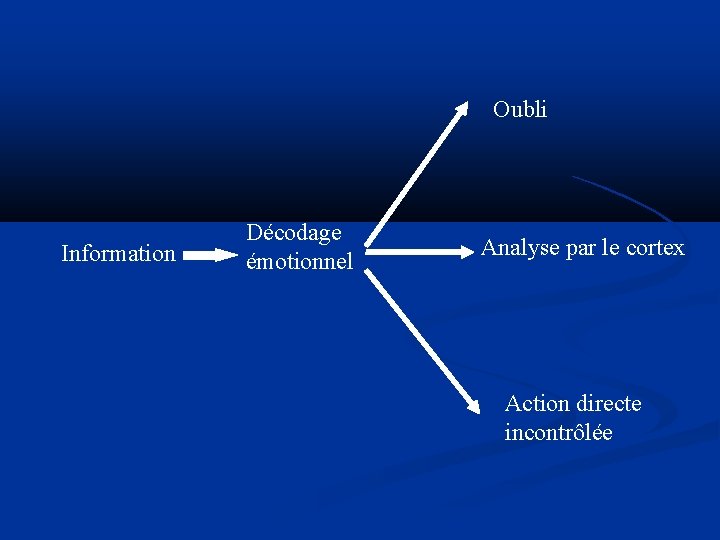 Oubli Information Décodage émotionnel Analyse par le cortex Action directe incontrôlée 