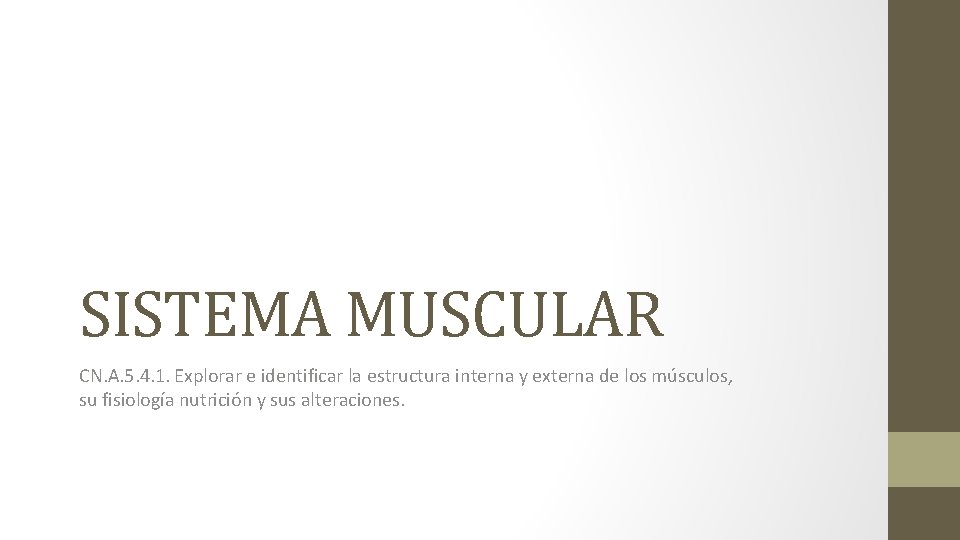 SISTEMA MUSCULAR CN. A. 5. 4. 1. Explorar e identificar la estructura interna y