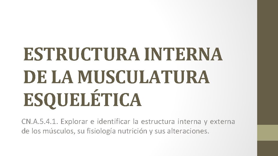 ESTRUCTURA INTERNA DE LA MUSCULATURA ESQUELÉTICA CN. A. 5. 4. 1. Explorar e identificar