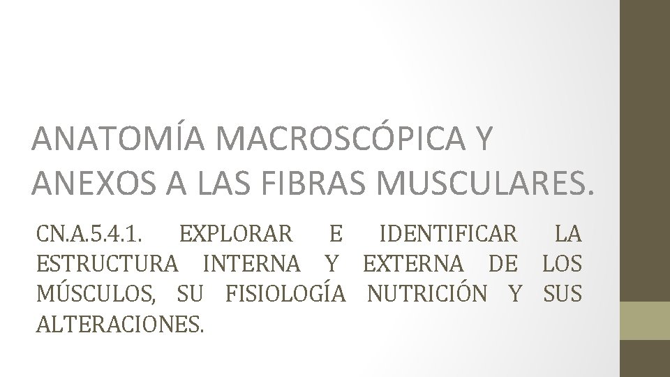 ANATOMÍA MACROSCÓPICA Y ANEXOS A LAS FIBRAS MUSCULARES. CN. A. 5. 4. 1. EXPLORAR