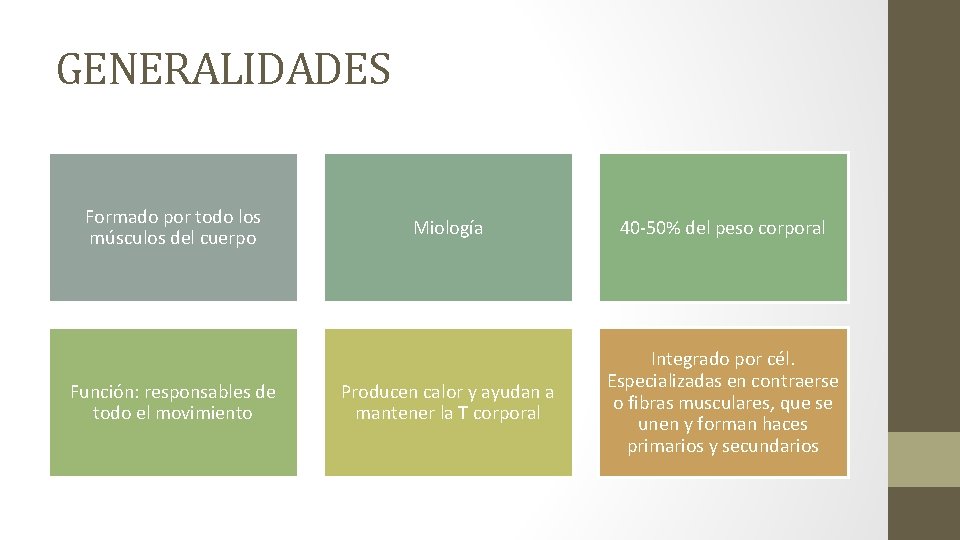 GENERALIDADES Formado por todo los músculos del cuerpo Función: responsables de todo el movimiento