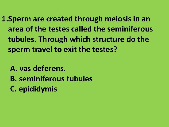 1. Sperm are created through meiosis in an area of the testes called the