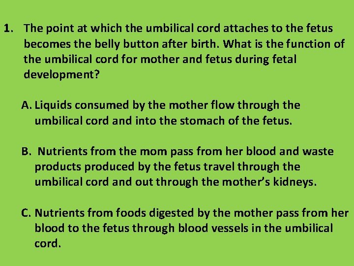 1. The point at which the umbilical cord attaches to the fetus becomes the