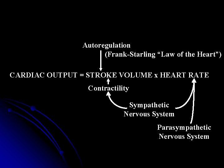 Autoregulation (Frank-Starling “Law of the Heart”) CARDIAC OUTPUT = STROKE VOLUME x HEART RATE Autoregulation (Frank-Starling “Law of the Heart”) CARDIAC OUTPUT = STROKE VOLUME x HEART RATE
