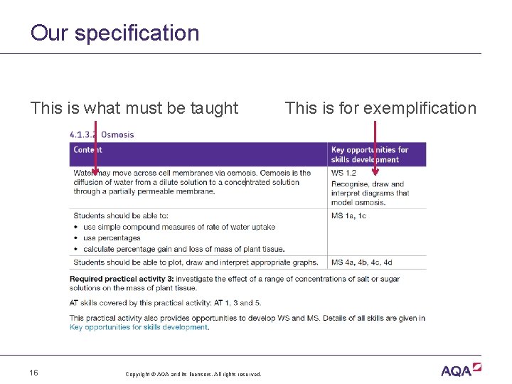 Our specification This is what must be taught 16 Copyright © AQA and its