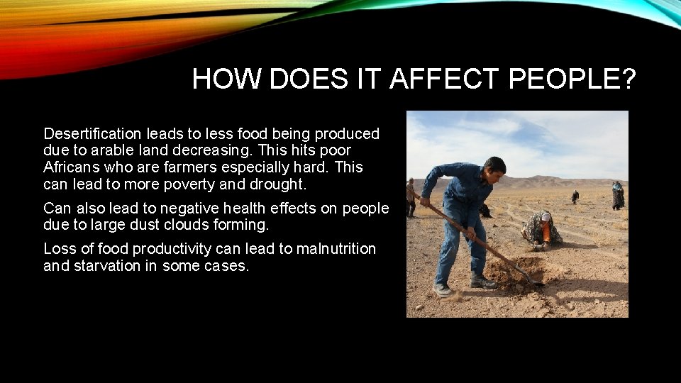 HOW DOES IT AFFECT PEOPLE? Desertification leads to less food being produced due to
