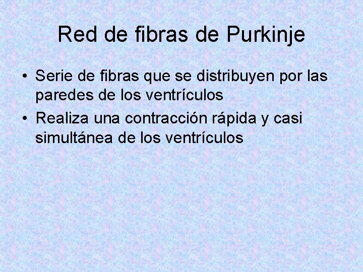 Red de fibras de Purkinje • Serie de fibras que se distribuyen por las
