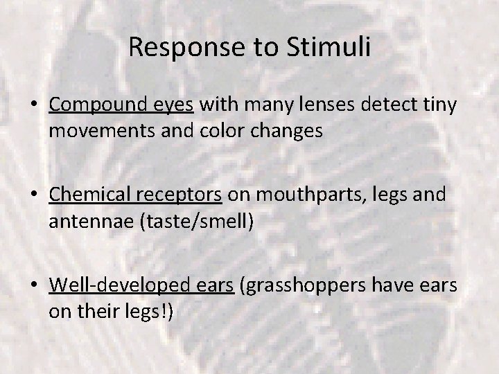 Response to Stimuli • Compound eyes with many lenses detect tiny movements and color