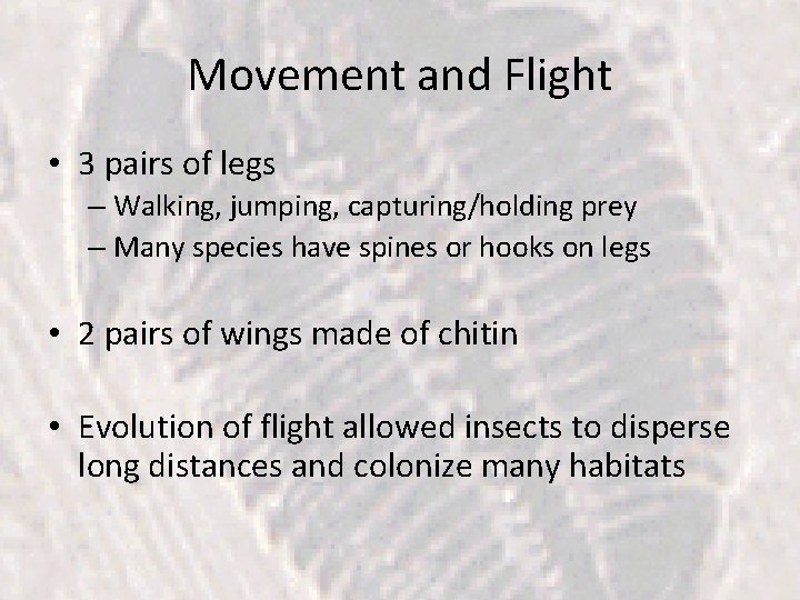 Movement and Flight • 3 pairs of legs – Walking, jumping, capturing/holding prey –