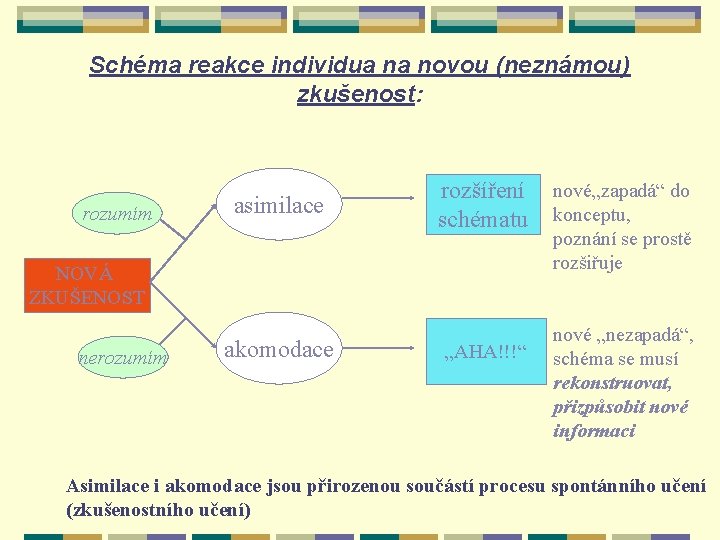 Schéma reakce individua na novou (neznámou) zkušenost: rozumím asimilace rozšíření schématu NOVÁ ZKUŠENOST nerozumím