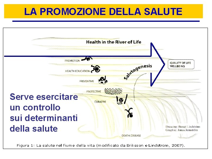 LA PROMOZIONE DELLA SALUTE Serve esercitare un controllo sui determinanti della salute 