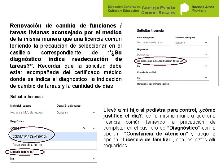 Consejo Escolar Coronel Rosales Renovación de cambio de funciones / tareas livianas aconsejado por