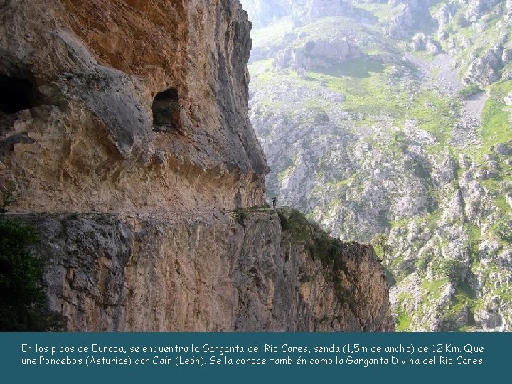 En los picos de Europa, se encuentra la Garganta del Rio Cares, senda (1,