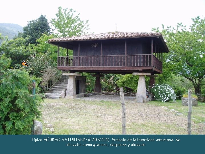 Típico HÓRREO ASTURIANO (CARAVIA). Símbolo de la identidad asturiana. Se utilizaba como granero, despensa