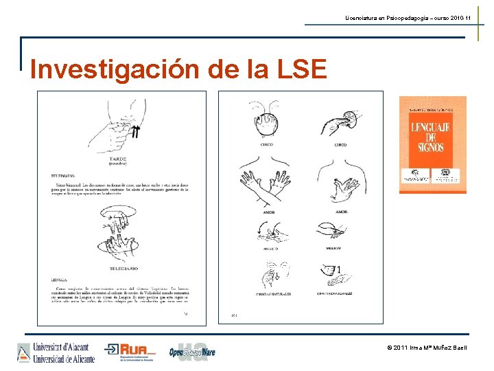 Licenciatura en Psicopedagogía – curso 2010 -11 Investigación de la LSE © 2011 Irma