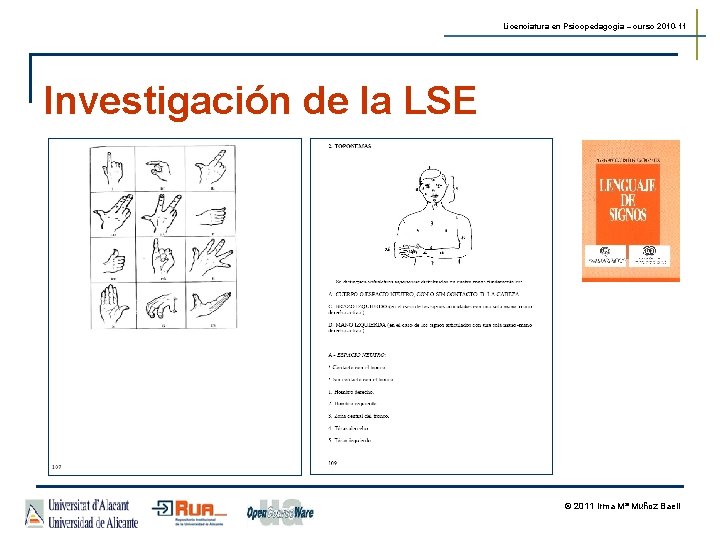 Licenciatura en Psicopedagogía – curso 2010 -11 Investigación de la LSE © 2011 Irma