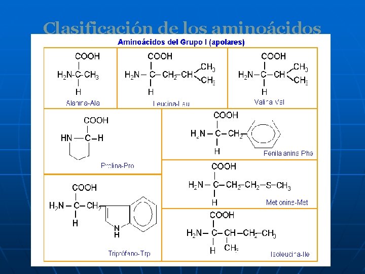 Clasificación de los aminoácidos 