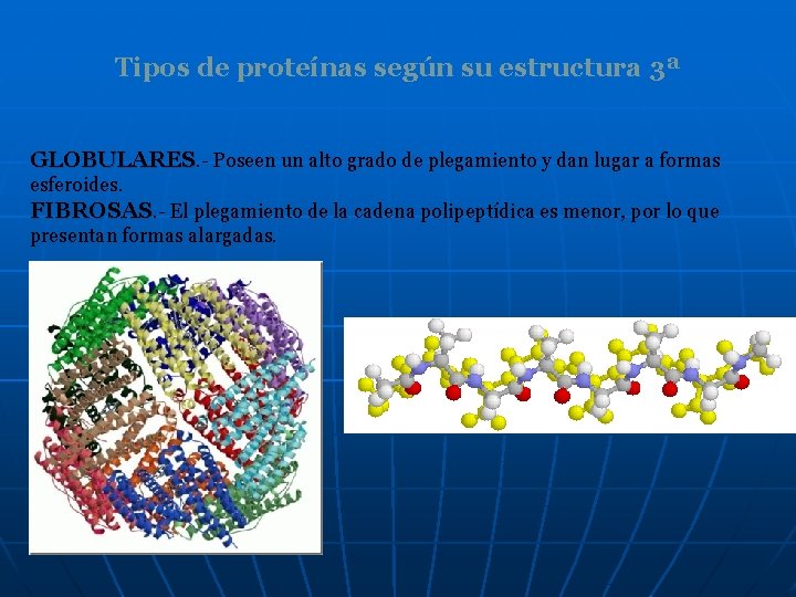 Tipos de proteínas según su estructura 3ª GLOBULARES. - Poseen un alto grado de