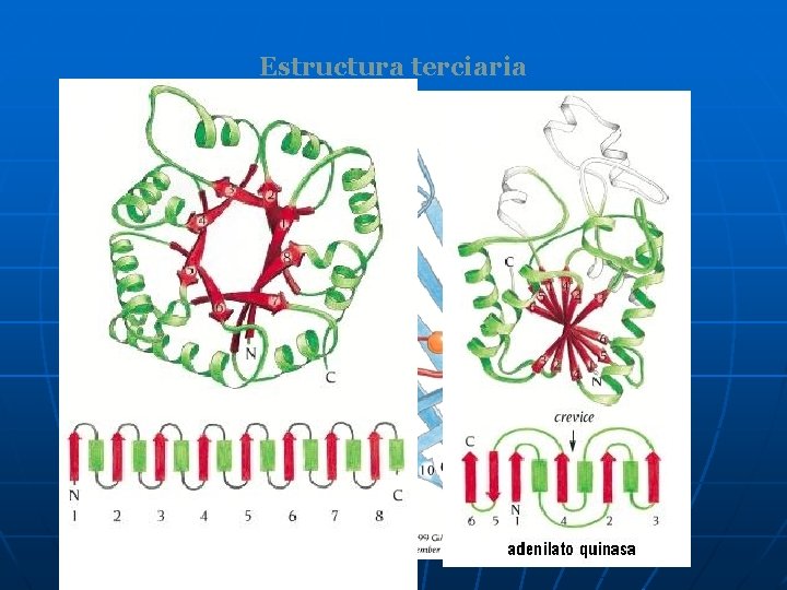 Estructura terciaria 