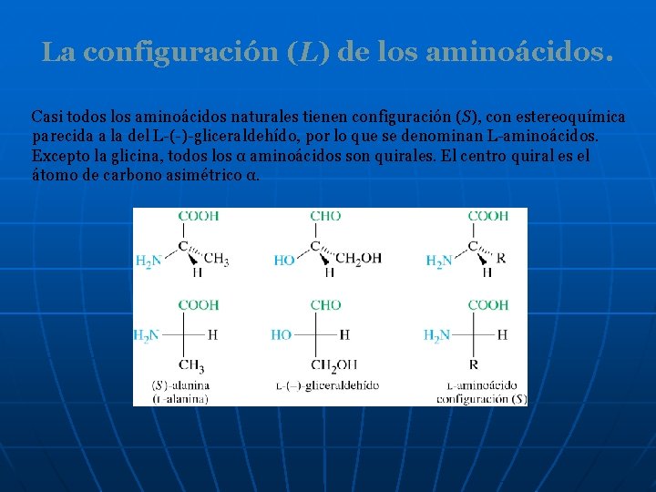 La configuración (L) de los aminoácidos. Casi todos los aminoácidos naturales tienen configuración (S),