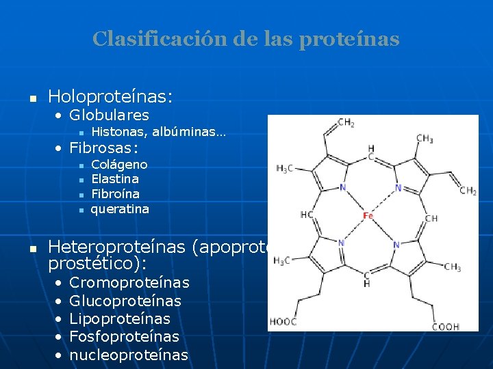 Clasificación de las proteínas n Holoproteínas: • Globulares n Histonas, albúminas… • Fibrosas: n