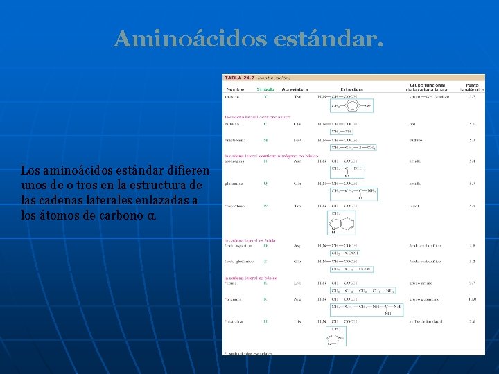 Aminoácidos estándar. Los aminoácidos estándar difieren unos de o tros en la estructura de