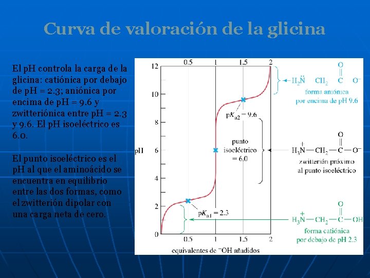 Curva de valoración de la glicina El p. H controla la carga de la