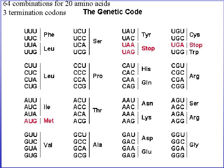 64 combinations for 20 amino acids 3 termination codons 