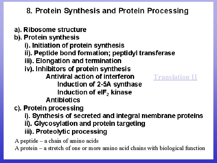 Translation II A peptide – a chain of amino acids A protein – a Translation II A peptide – a chain of amino acids A protein – a