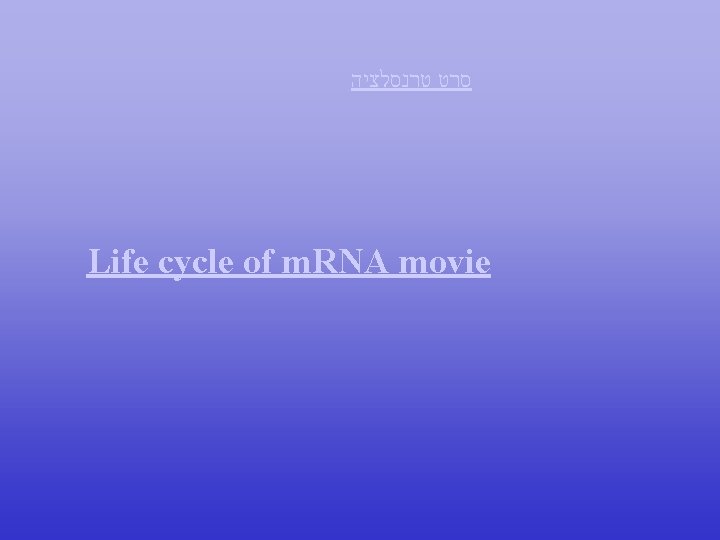 טרנסלציה סרט Life cycle of m. RNA movie טרנסלציה סרט Life cycle of m. RNA movie