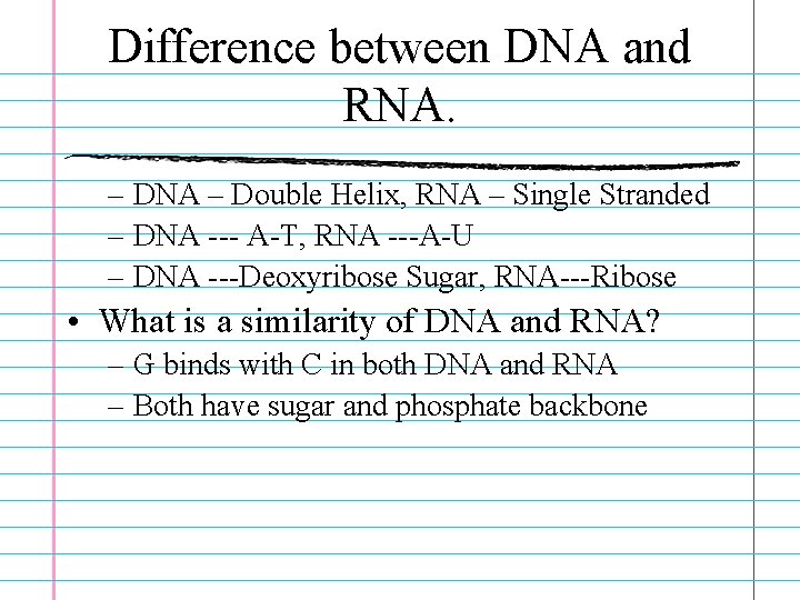 Difference between DNA and RNA. – DNA – Double Helix, RNA – Single Stranded