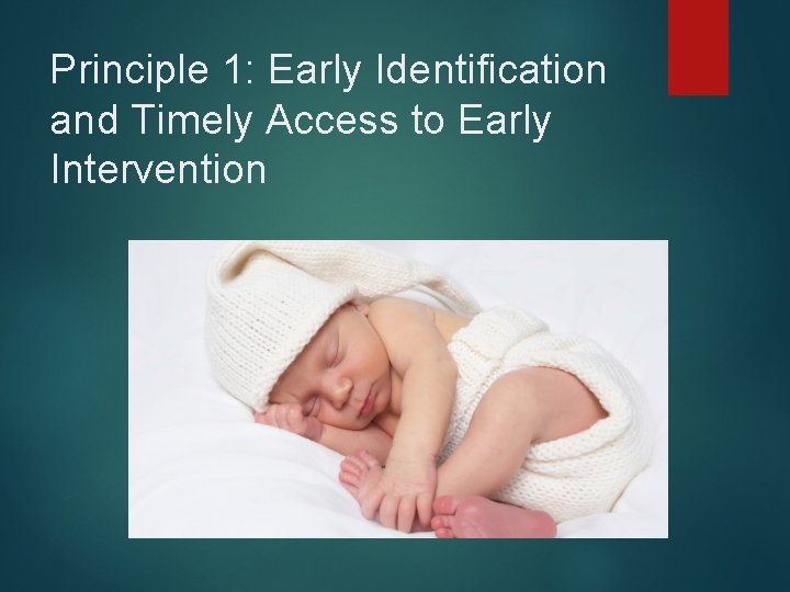 Principle 1: Early Identification and Timely Access to Early Intervention 