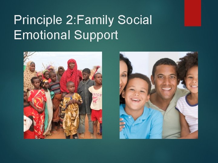 Principle 2: Family Social Emotional Support 