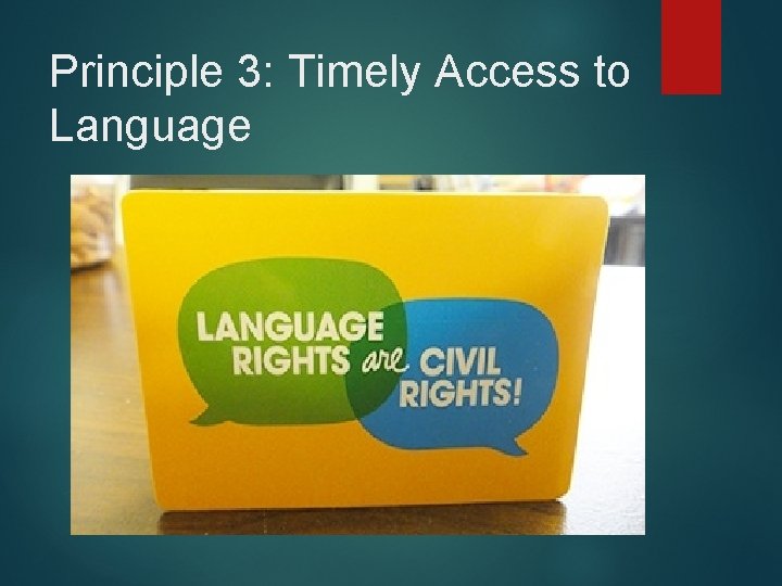 Principle 3: Timely Access to Language 