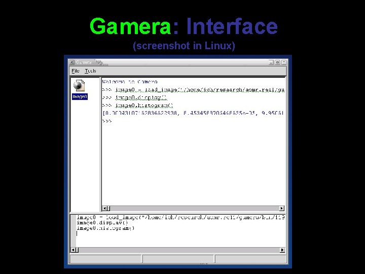 Gamera: Interface (screenshot in Linux) Gamera: Interface (screenshot in Linux)
