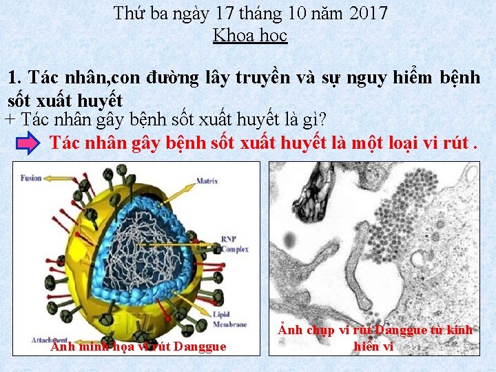  Thứ ba ngày 17 tháng 10 năm 2017 Khoa học 1. Tác nhân,