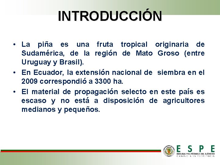 INTRODUCCIÓN • La piña es una fruta tropical originaria de Sudamérica, de la región