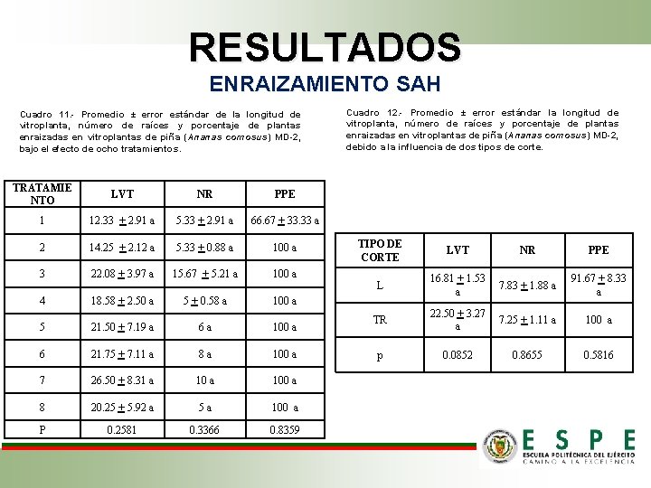 RESULTADOS ENRAIZAMIENTO SAH Cuadro 11. - Promedio ± error estándar de la longitud de