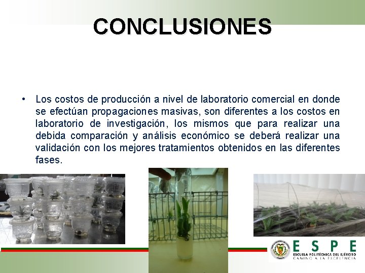 CONCLUSIONES • Los costos de producción a nivel de laboratorio comercial en donde se