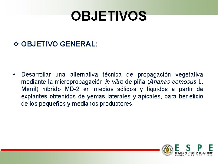 OBJETIVOS v OBJETIVO GENERAL: • Desarrollar una alternativa técnica de propagación vegetativa mediante la
