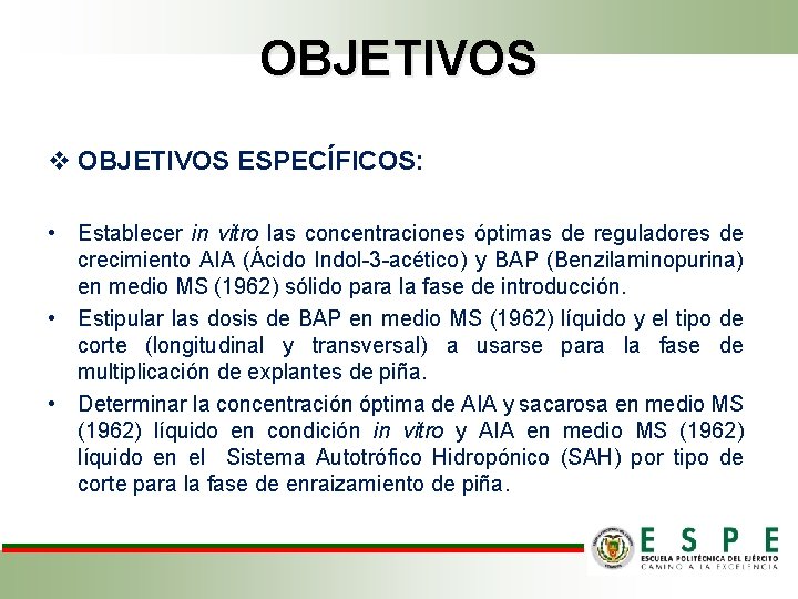 OBJETIVOS v OBJETIVOS ESPECÍFICOS: • Establecer in vitro las concentraciones óptimas de reguladores de