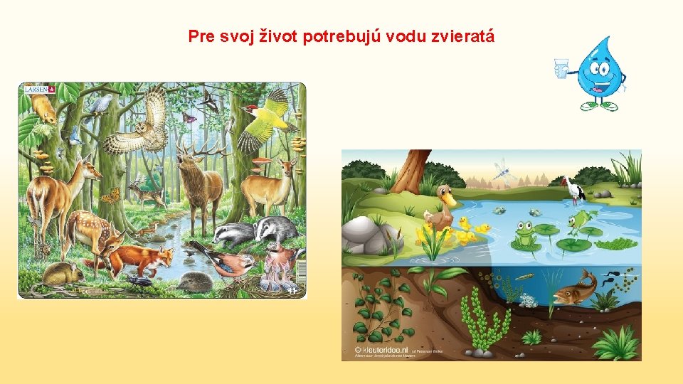 Pre svoj život potrebujú vodu zvieratá 