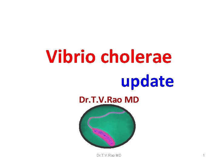 Vibrio cholerae update Dr. T. V. Rao MD 1 