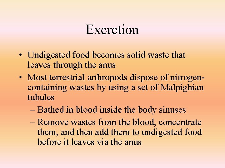 Excretion • Undigested food becomes solid waste that leaves through the anus • Most