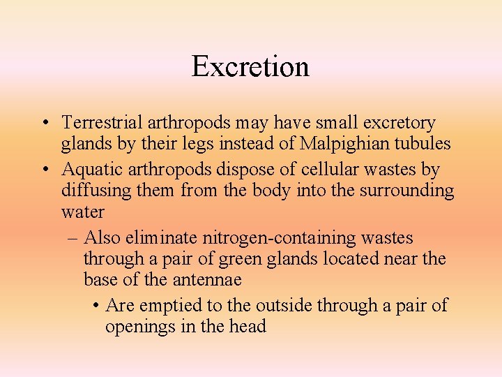 Excretion • Terrestrial arthropods may have small excretory glands by their legs instead of
