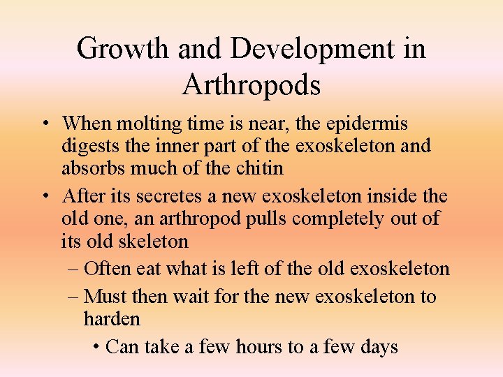 Growth and Development in Arthropods • When molting time is near, the epidermis digests